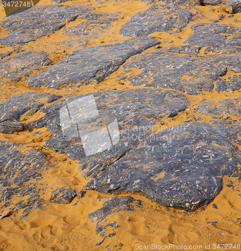 Image of  old fossil in  the desert of morocco sahara and rock  stone sky