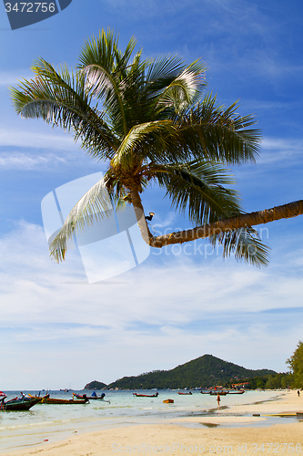 Image of sun ligt asia   the  kho tao   south china sea anchor