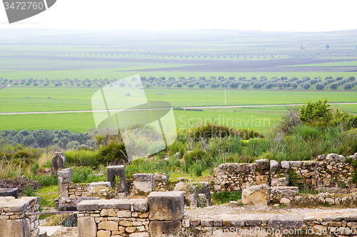 Image of volubilis in morocco  