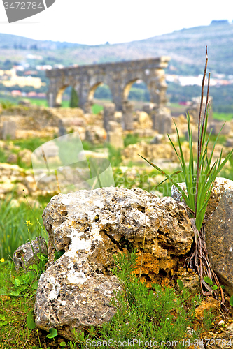 Image of volubilis in   the old roman deteriorated monument   site