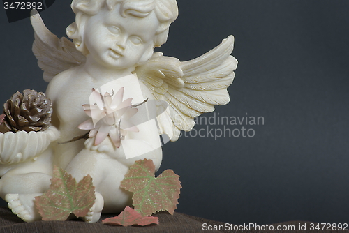 Image of angel of autumn