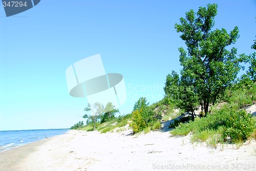 Image of Sand dunes coastline