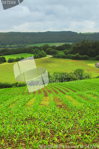 Image of Agricultural landscape