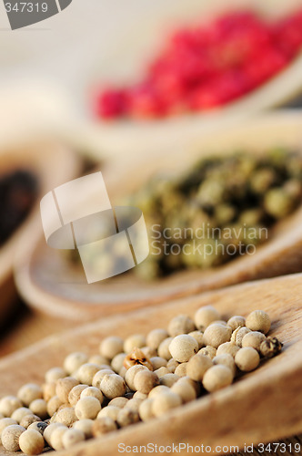 Image of Assorted peppercorns