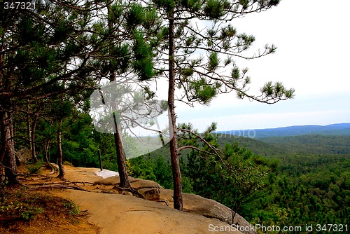 Image of Pines cliffs trail
