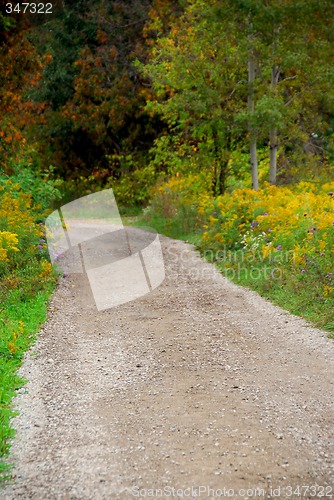 Image of Rural road