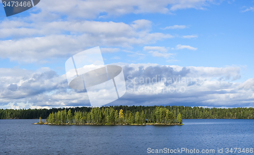 Image of Panorama of wild summer lake