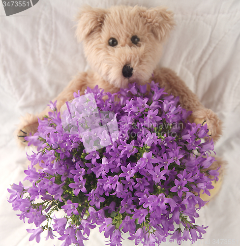 Image of purple flowers with teddy bear