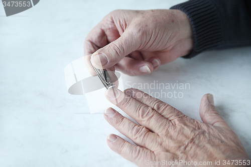 Image of older man trims fingernails