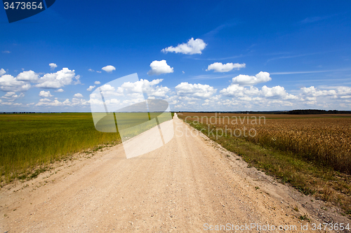 Image of   rural road