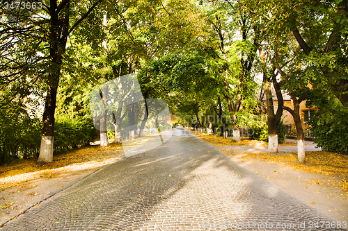 Image of  road autumn