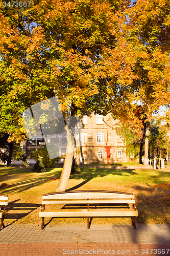 Image of   trees   in  autumn  