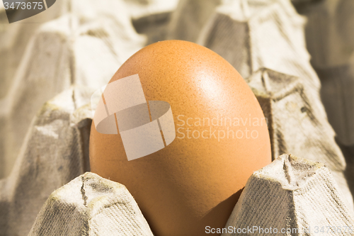 Image of chicken egg  