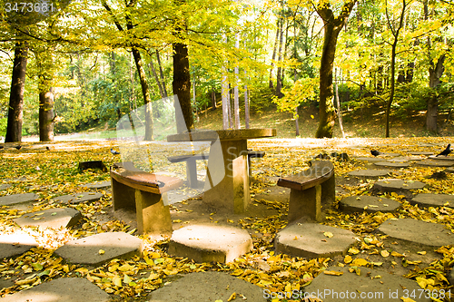 Image of trees  in a park 