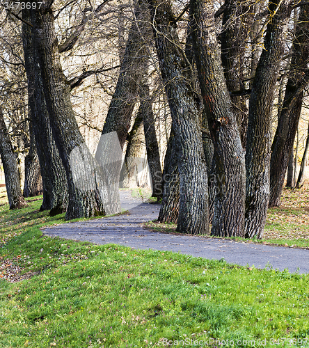 Image of foot path  