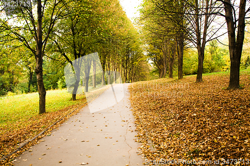 Image of  road autumn