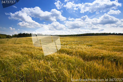 Image of agricultural field  