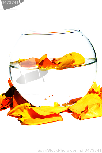 Image of glass vase 