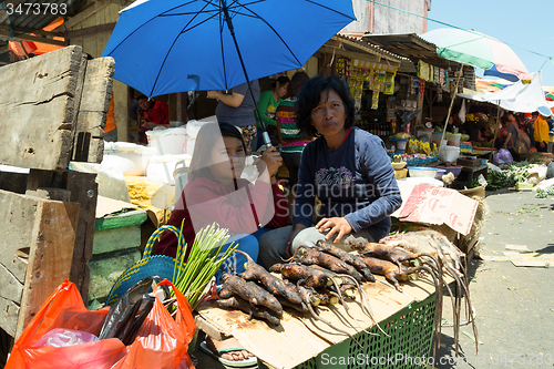 Image of tradition speciality, roasted jungle rat