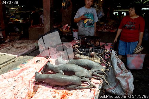 Image of tradition speciality, roasted stray dog