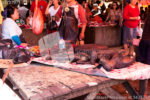 Image of tradition speciality, roasted stray dog