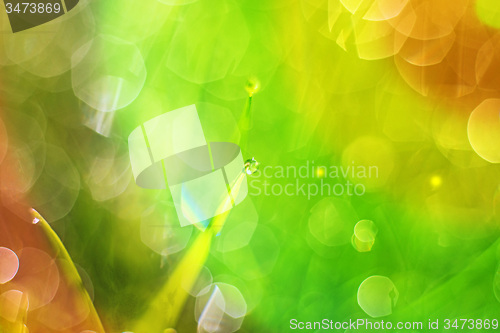 Image of natural background with water drop and blurred circles
