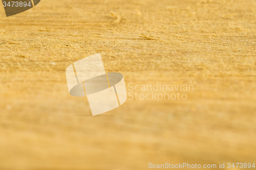 Image of plank with small focus area