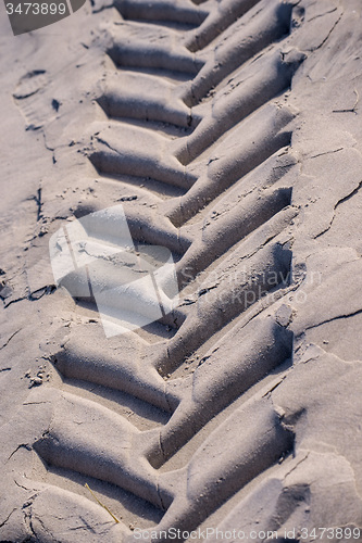 Image of Tracks in sand