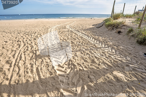 Image of beach of Baltic Sea with car tracks