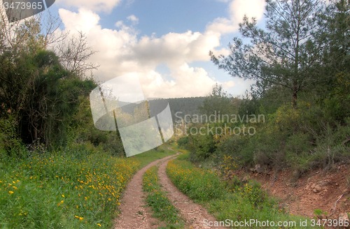Image of Spring season landscape
