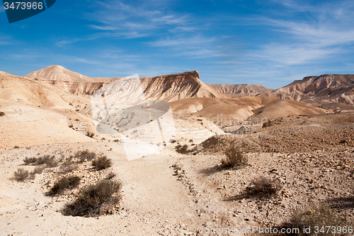 Image of Travel in Negev desert, Israel