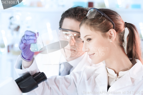 Image of Life scientist researching in the laboratory.