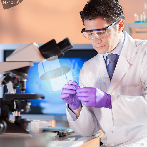 Image of Life scientist researching in the laboratory.