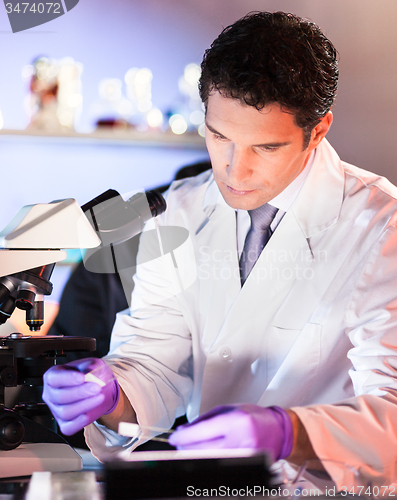 Image of Life scientist researching in the laboratory.