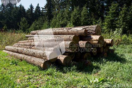 Image of Pile of wood near forest road