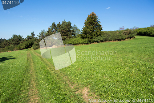 Image of summer rural summer landscape