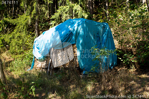 Image of Pile of wood near forest road