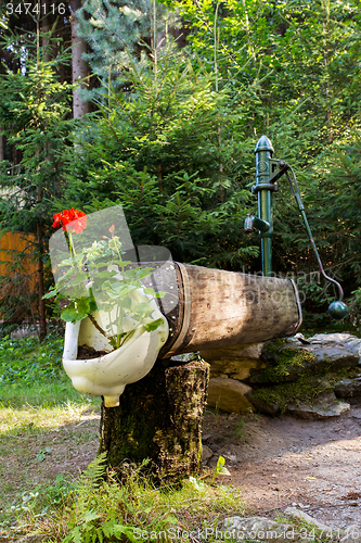 Image of rustic rural water pump with flowers in bidet