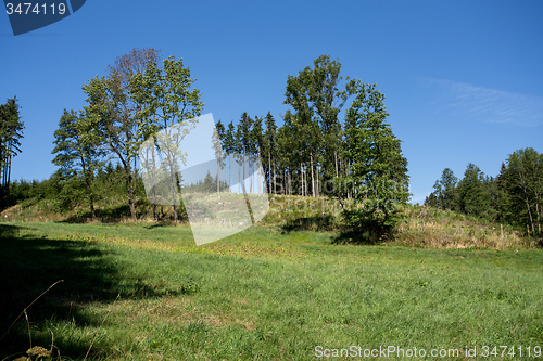 Image of rural scene with forest