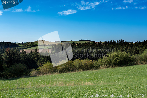 Image of summer rural summer landscape