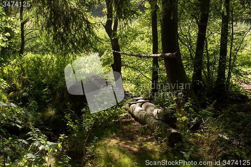 Image of river stream with footbridge in forrest