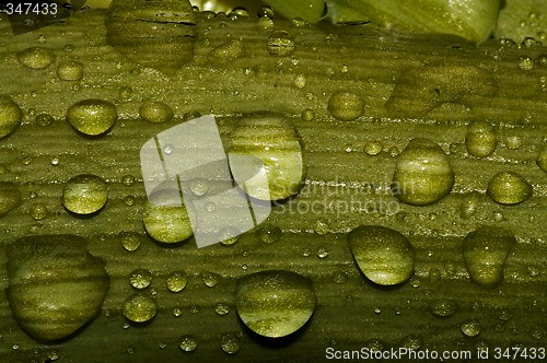 Image of raindrops