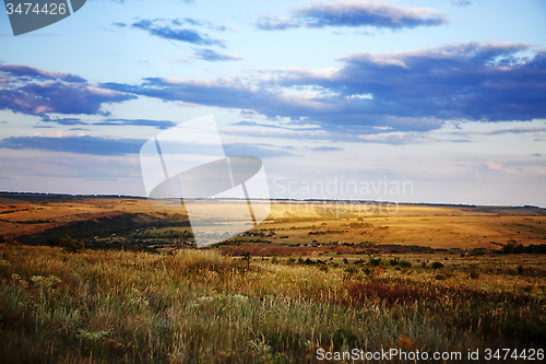 Image of field of summer grass