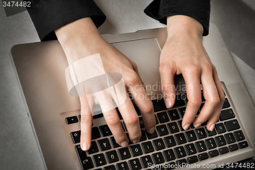 Image of Typing on laptop