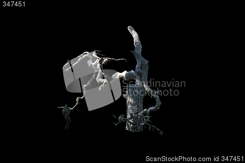 Image of DeadTreeB&W
