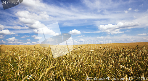 Image of agricultural field  
