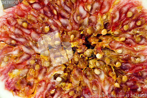Image of the cut fig  