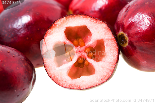 Image of   cranberries 