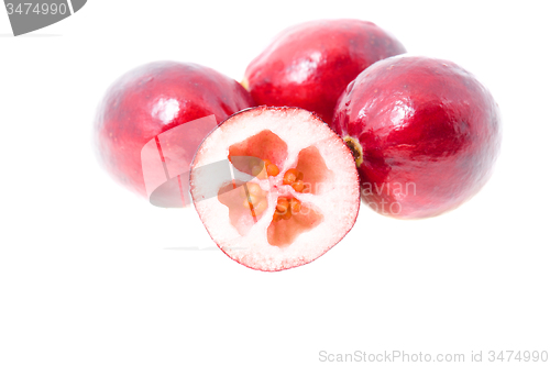 Image of   cranberries 