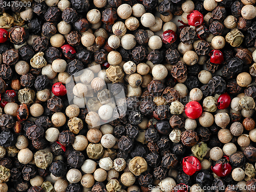 Image of pepper mix background